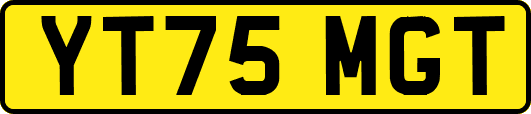 YT75MGT