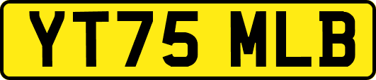 YT75MLB