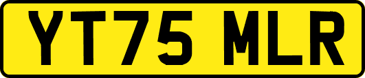 YT75MLR
