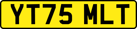 YT75MLT