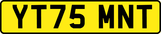 YT75MNT