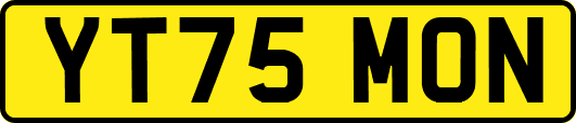 YT75MON