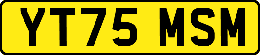 YT75MSM