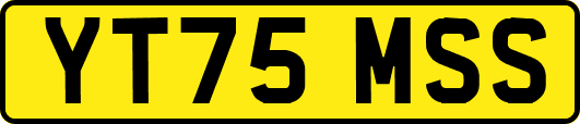 YT75MSS