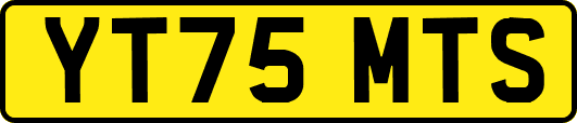 YT75MTS