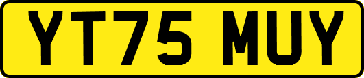 YT75MUY