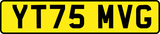 YT75MVG