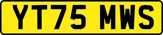 YT75MWS