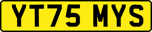 YT75MYS