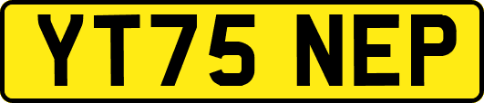 YT75NEP