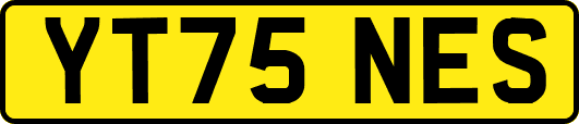 YT75NES