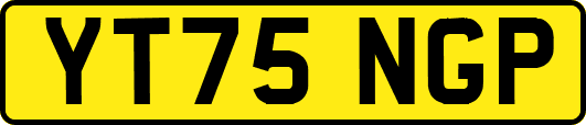 YT75NGP
