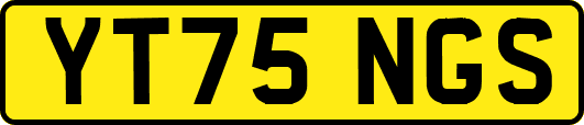 YT75NGS