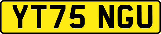 YT75NGU