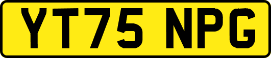 YT75NPG