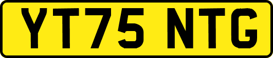 YT75NTG