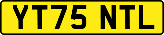 YT75NTL