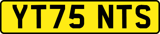 YT75NTS