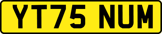 YT75NUM