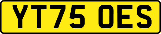YT75OES