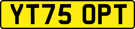 YT75OPT