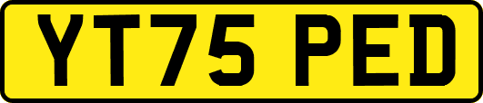 YT75PED