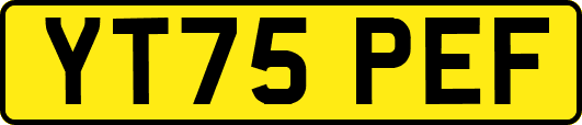 YT75PEF