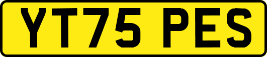 YT75PES