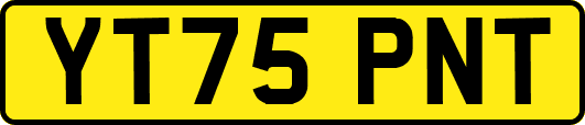 YT75PNT