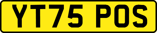 YT75POS