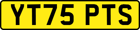 YT75PTS