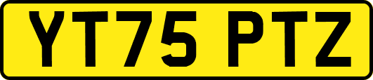 YT75PTZ