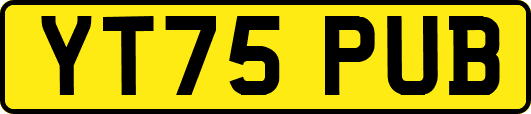 YT75PUB