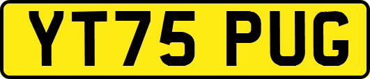 YT75PUG