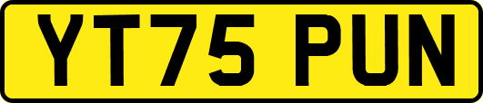 YT75PUN