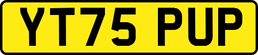 YT75PUP
