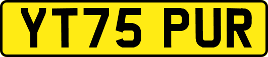 YT75PUR