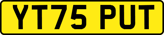 YT75PUT