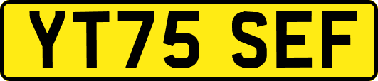 YT75SEF