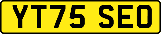 YT75SEO