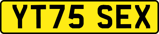 YT75SEX