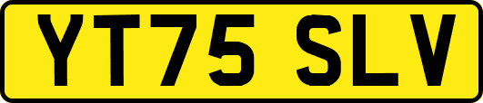 YT75SLV