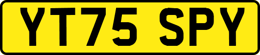 YT75SPY