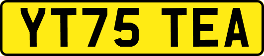 YT75TEA