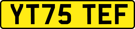 YT75TEF