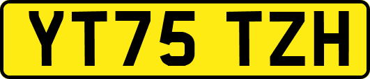 YT75TZH