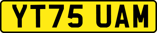YT75UAM