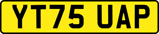 YT75UAP