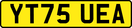 YT75UEA