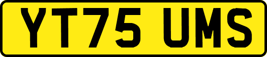 YT75UMS